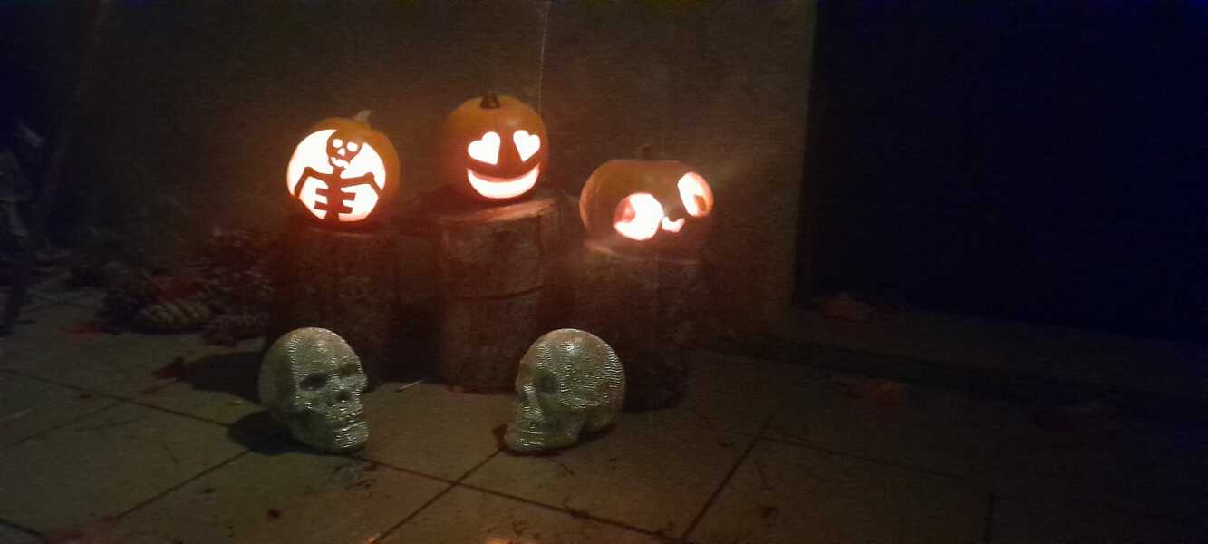 Show my your pumpkins