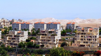 Why did Israeli settlers move into the Palestinian Territories?