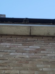 Small damp patch how to get rid