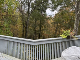 Come and tell me your dull and unexciting news 27: Calmly through the day