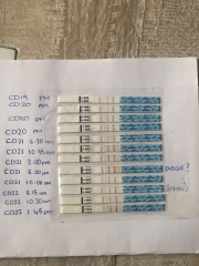 Positive but short OPK, I think-  any reassurance?