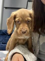 Name ideas
