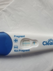 Clear blue test. Evap line or positive