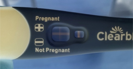 Clear blue test. Evap line or positive