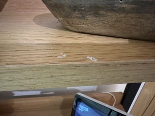 Could my candle have woodworm? Pics attached
