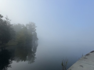 Come and tell me your dull and unexciting news 26: Calmly through the day 