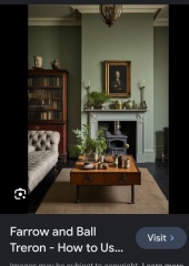 Olive/warm green paint