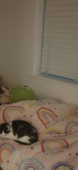 To expect blinds to shut properly?!