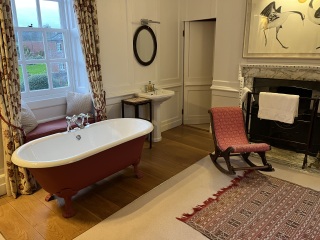 The Great Recovery! After cancer what next?