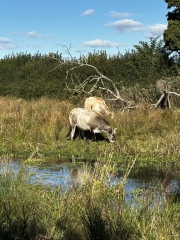 Come and tell me your dull and unexciting news 26: Calmly through the day 