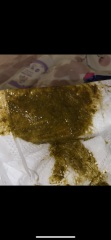8 week is old poo [graphic photos]