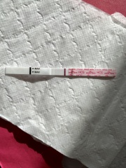 A line eye enthusiast #2