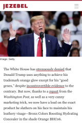 Trump gets gagged, McCarthy gets booted.  What's next in Trumpworld?