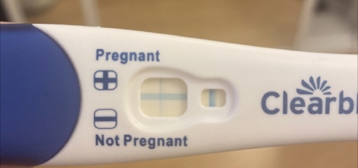 Clear blue test. Evap line or positive