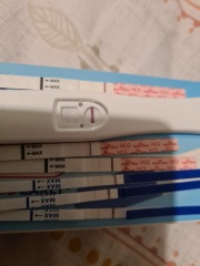 Due June 24?