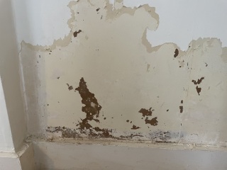 Rising damp & other issues