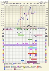 In need of experienced mumsnetters' help/opinions please :)