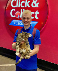 Just had a Tesco delivery, cat got in delivery van where food is stored and walked all over food.