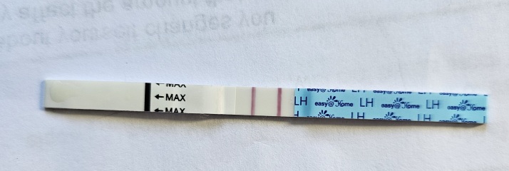 Help with clearblue 4 days fertility and ovulation!