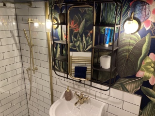 Bathroom Inspiration Please