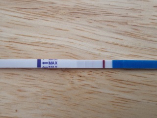 Am I Pregnant?