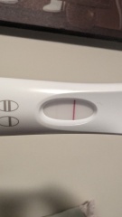 40+ TTC this year