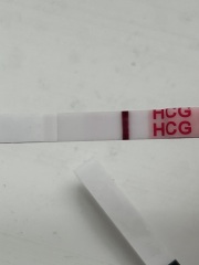 Wondfo- do they give false BFPs or smudges?