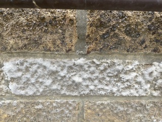 Is this damp?