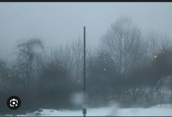 Shotgun wedding - decision helping needed