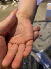 Anyone seen this before