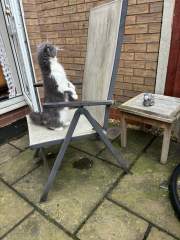 Potential new inmate at Toddler Towers.