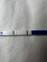 12dpo faint line?