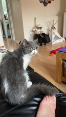 Potential new inmate at Toddler Towers.