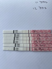 Pregnancy after miscarriage - worrying about line progression