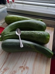 What to do with two enormous courgettes?
