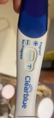 Clearblue pregancy test. Is this real positive or a evap lone