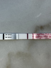 11dpo positive test?