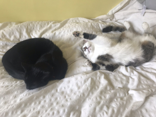 Come and tell me your dull and unexciting news 27: Calmly through the day