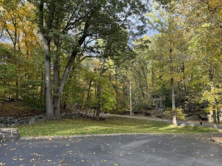 Come and tell me your dull and unexciting news 27: Calmly through the day