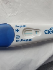 Clear blue test. Evap line or positive