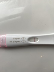 Letrozole first cycle