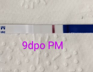 8dpo Symptoms