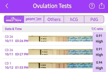 Pregnant straight after miscarriage with no period inbetween?