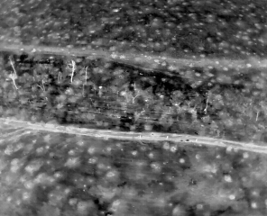 Ukraine Invasion: Part 45