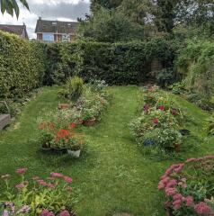 Meadow ideas / inspiration