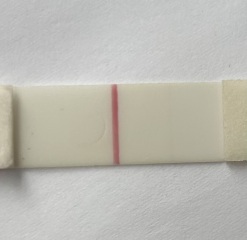 4dpo any one? Tww