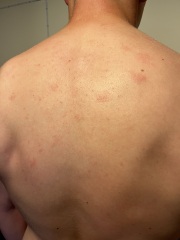 Any ideas what this could be?