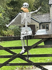 Disgusting Halloween decorations