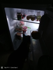 Just for fun- what's in your fridge? Post a pic!