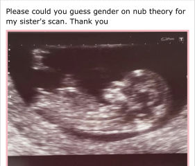 Has anyone had nub theory be wrong?